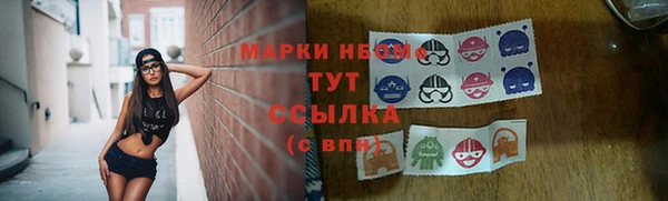 тгк Алзамай