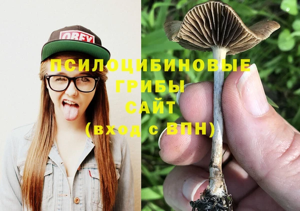 ПСИЛОЦИБИНОВЫЕ ГРИБЫ Алексеевка
