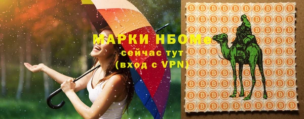 тгк Алзамай