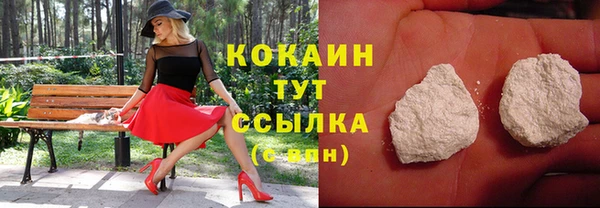 тгк Алзамай
