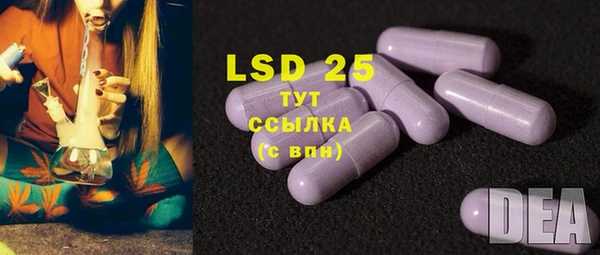 ПСИЛОЦИБИНОВЫЕ ГРИБЫ Алексеевка