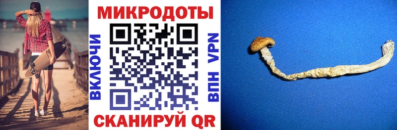 Галлюциногенные грибы мухоморы  Новая Ляля 